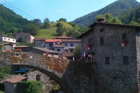 Olivi Giallo, Cottage à Pescia avec piscine - Photo 35