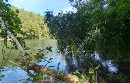 Location Maison 4 personnes à Pradines - Photo 13