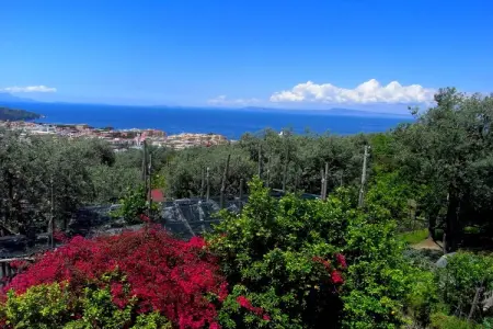 Rosa, Manoir à Sorrente près de Marina Grande - Photo 20