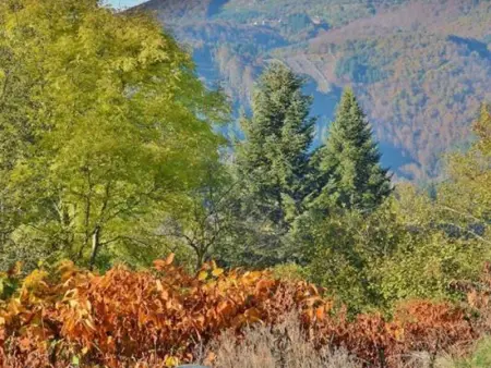 Gîte Le Saillant: Détente Montagne Bourbonnaise, Animaux admis, Jardin, jusqu'à 14 pers - Photo 18