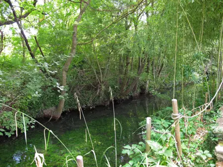L'Isle sur la Sorgue, Maison 4 personnes à L'isle sur la Sorgue - Photo 23