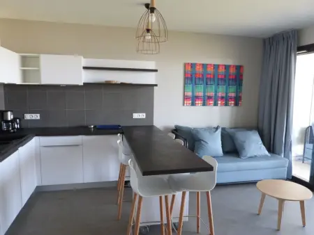 Appartement en bord de mer, 2 chambres, piscine, parking, animaux admis - Photo 10