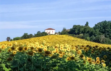 Location Maison 7 personnes à Cauzac - Photo 8