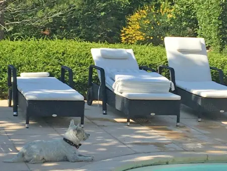 Le Serre des Granges Plus, Maison 10 personnes à Montaulieu - Photo 29