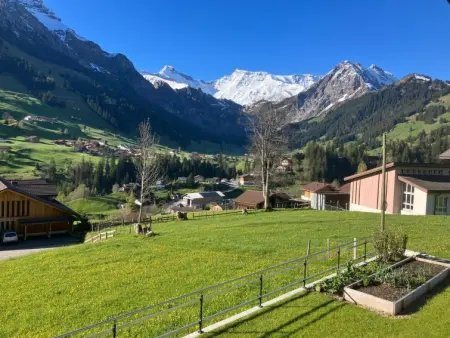 Lohnerblick, Appartement 2 personnes à Adelboden - Photo 19