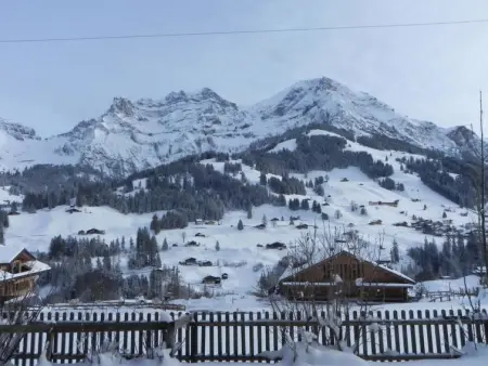 Lohnerblick, Appartement 2 personnes à Adelboden - Photo 21