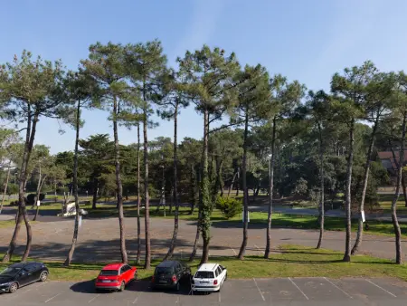 Appartement lumineux proche plage, marché et océan, Seignosse - Photo 20