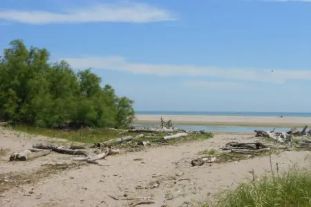 Ceseta 7, Maison 4 personnes à Rosolina Mare (RO) - Photo 10