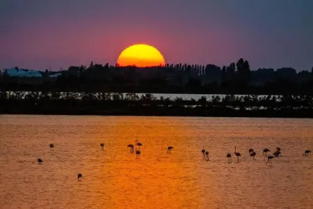 Ceseta 7, Maison 4 personnes à Rosolina Mare (RO) - Photo 18