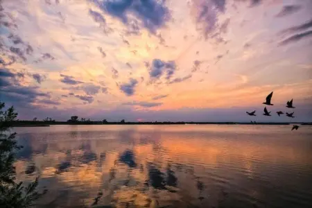 Ceseta 7, Maison 4 personnes à Rosolina Mare (RO) - Photo 19