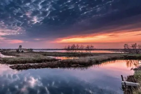 Ceseta 7, Maison 4 personnes à Rosolina Mare (RO) - Photo 24