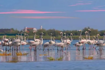 Ceseta 7, Maison 4 personnes à Rosolina Mare (RO) - Photo 26