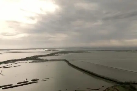 Ceseta 7, Maison 4 personnes à Rosolina Mare (RO) - Photo 30