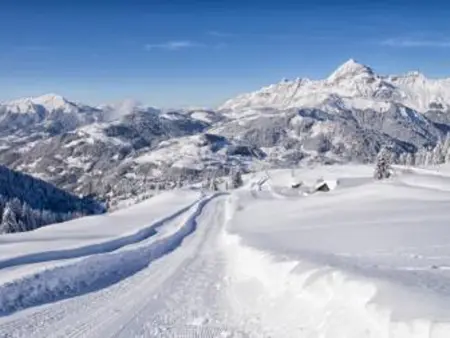 Appartement cosy au pied des pistes avec balcon, wifi et parking - Photo 12