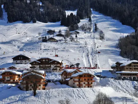 Appartement cosy au pied des pistes avec balcon, wifi et parking - Photo 14