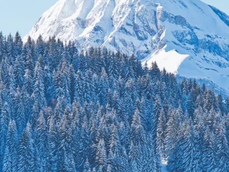 Appartement cosy au pied des pistes avec balcon, wifi et parking - Photo 17