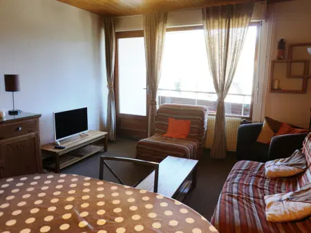 3 pièces 60m², 8 pers, proche pistes, animaux acceptés - Photo 2