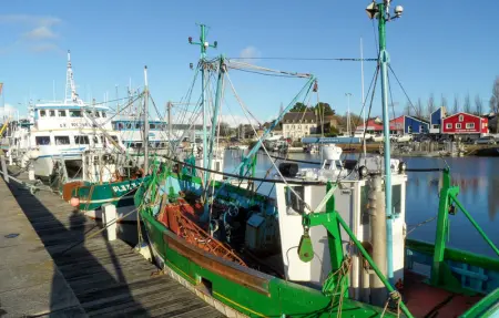 Location Appartement 2 personnes à Gommenech - Photo 15