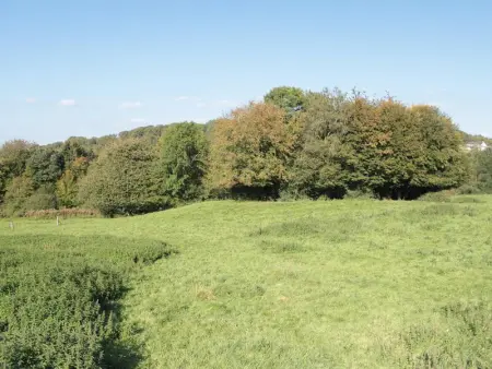 Maison charmante avec jardin, proche Val Joly, animaux admis, WiFi - Photo 13