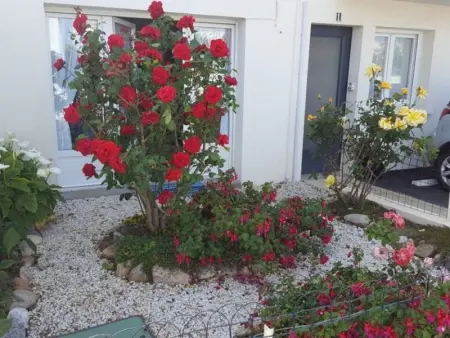 Rez-de-Jardin T3/4 avec Jardin, Parking Privé - Proche Plage et Centre-ville - Photo 14