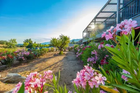 Residence Les Terrasses d'Arsella Porto Vecchio - M46 - House 3 bedrooms 6 pers private pool - Photo 21