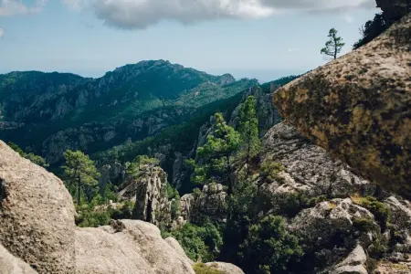 Residence Les Terrasses d'Arsella Porto Vecchio - M46 - House 3 bedrooms 6 pers private pool - Photo 25