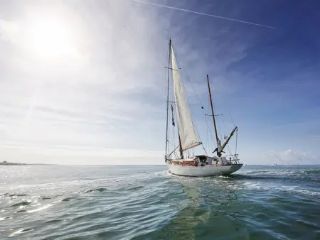 Maison T2: Cour, Parking, À 600m de la mer, Quartier calme - Photo 10