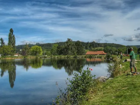 Gîte spacieux et charmant pour 10 avec jardin et animaux admis - Photo 25