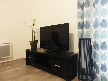 Appartement neuf 2-4 pers, terrasse et jardin, à 400m de la plage du Rohaliguen - Photo 6