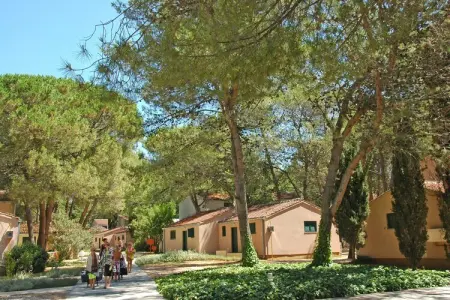 Zaton Holiday Resort Zaton-Nin-2-Raum-App AP/4 - 3 Sterne - 29 qm für 4 Pers - Photo 17