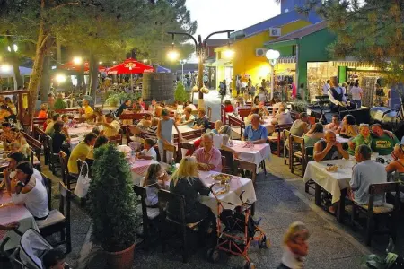 Zaton Holiday Resort Zaton-Nin -3-Raum-App AP/5 - 3 Sterne - 35 qm für 5 Pers - Photo 29