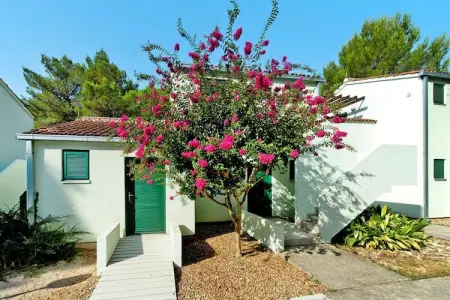 Zaton Holiday Resort - Zaton-Nin - Studio  AP/2 - 3 Sterne - 20 qm für 2 Erw - Photo 4