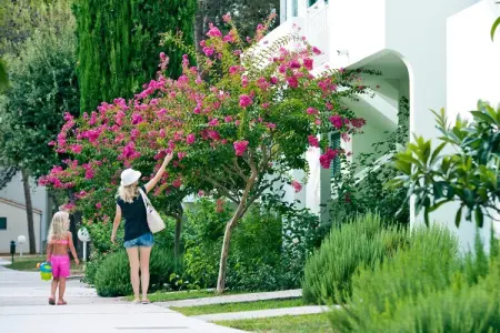 Zaton Holiday Resort - Zaton-Nin - Studio  AP/2 - 3 Sterne - 20 qm für 2 Erw - Photo 18