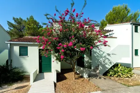 Zaton Holiday Resort - Zaton-Nin - Studio  AP/2 - 3 Sterne - 20 qm für 2 Erw - Photo 30