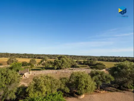 Ferme de Charme à Llucmajor avec Piscine Privée et Terrain de 70 Hectares - Capacité 6 Personnes - Photo 14