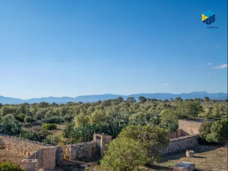 Ferme de Charme à Llucmajor avec Piscine Privée et Terrain de 70 Hectares - Capacité 6 Personnes - Photo 15