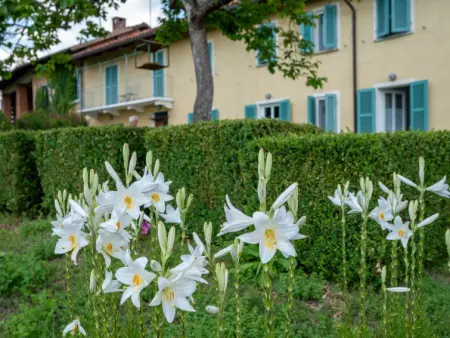 Del Terrazzo, Maison 2 personnes à Cortazzone - Photo 25