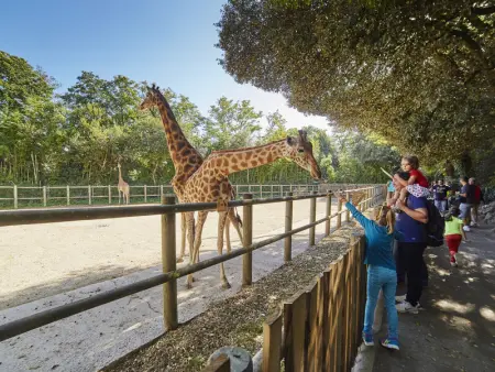 Appartement T2 avec vue mer et piscines chauffées près des Sables-d'Olonne - Photo 15