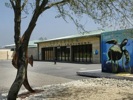 Appartement T2 avec vue mer et piscines chauffées près des Sables-d'Olonne - Photo 16