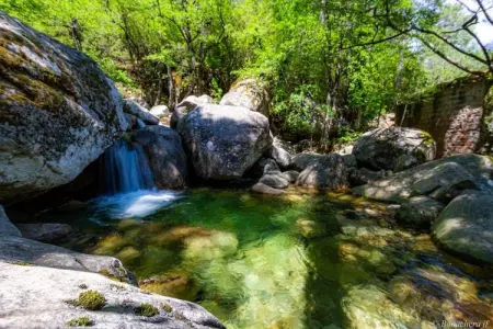 Residence Mare e Monte Solenzara // Villa Alba F3 - Photo 26