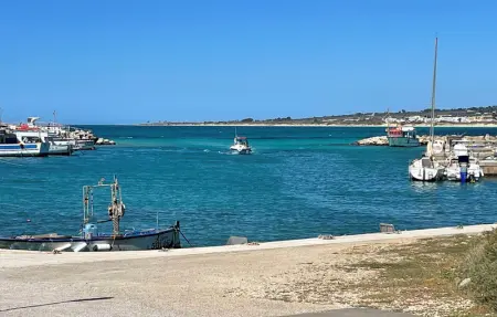 Location Maison 6 personnes à Torre Vado - Photo 7