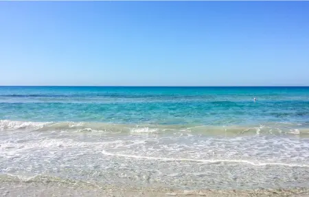 Location Maison 6 personnes à Torre Vado - Photo 24