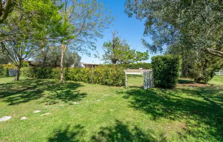 Location Maison 18 personnes à Montalto di Castro - Photo 9