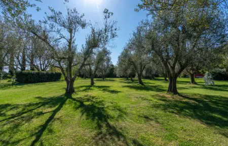 Location Maison 18 personnes à Montalto di Castro - Photo 16