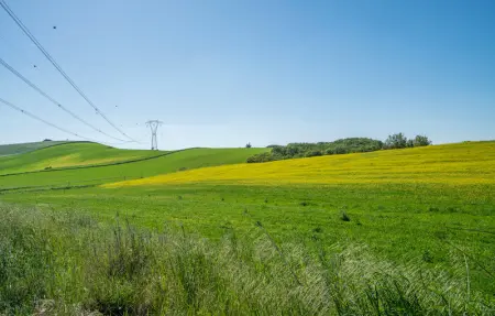Location Maison 18 personnes à Montalto di Castro - Photo 49