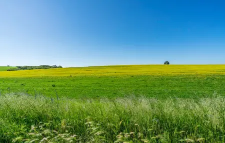 Location Maison 18 personnes à Montalto di Castro - Photo 50