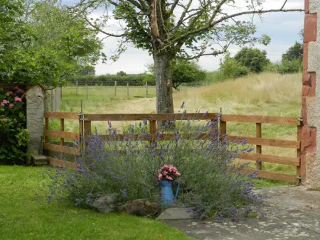 Maison de ferme avec piscine chauffée, animaux acceptés - Photo 11