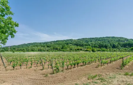 Location Maison 5 personnes à Orte - Photo 22