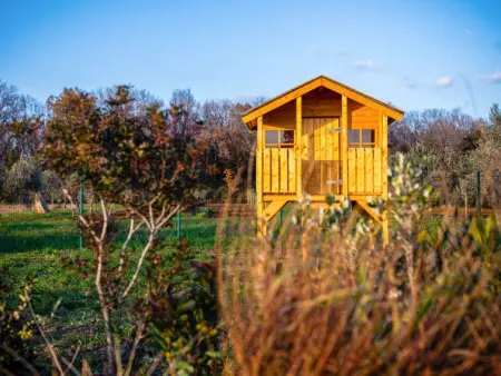 Melograno, Maison 8 personnes à Riparbella - Photo 48