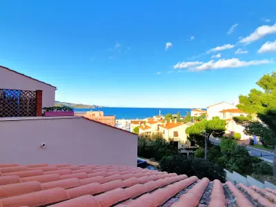 Appartement à Banyuls sur Mer, Joli studio terrasse 2* proche centre, parking, vue mer - L893593